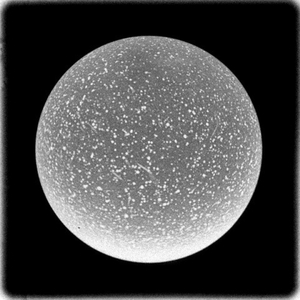 מעדיף לרקוד