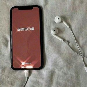 3Yil(三年）