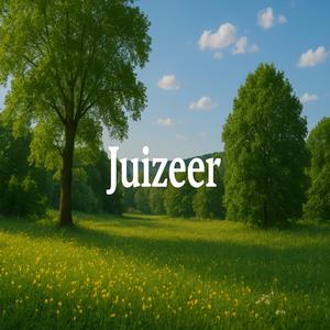 Juizeer