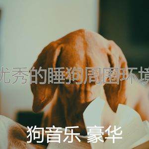 一尘不染训练犬印象数