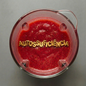 AUTOSSUFICIÊNCIA