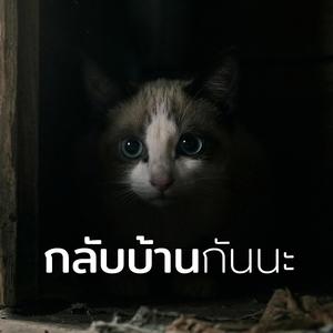 กลับบ้านกันนะ (Male Vocal Version)