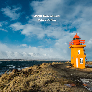 ASMR 파도