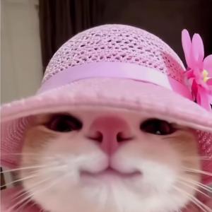 this is what you came for (slowed)