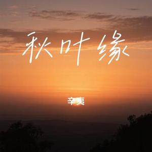 秋叶缘
