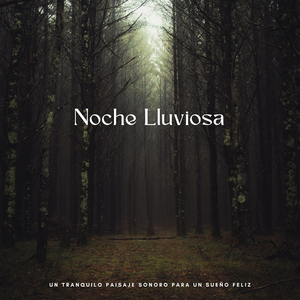 Llovizna Neblinoza Entre Sueños