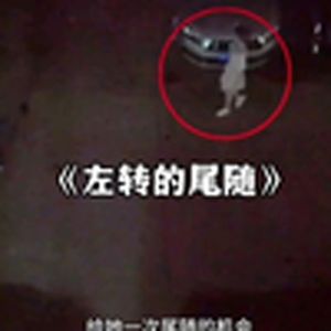 大型纪录片《左转的尾随》