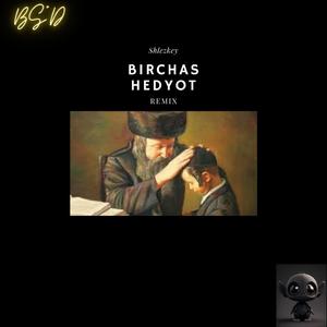 Birchas Hedyot (feat. Sruly Green)