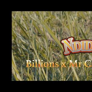 Ndidewo (feat. Billionsthebadgee & Mr Candy)