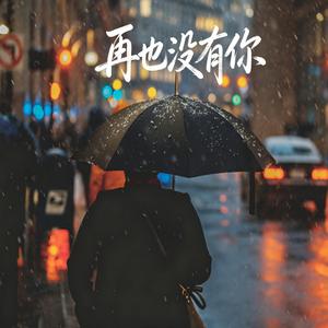 再也没有你