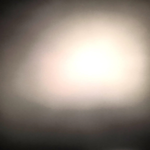 If We Can Be Completely Simulated Do We Need a Real Reality?