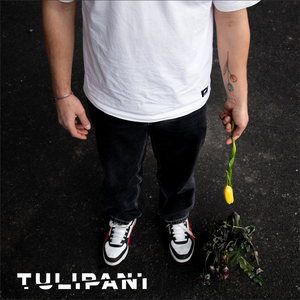 Tulipani