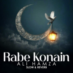 Rabe Konain Lofi
