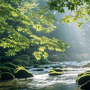 摇篮曲 婴儿安眠曲 宝宝哄睡音乐