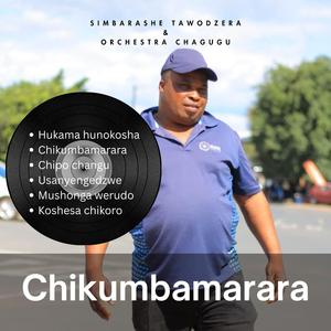 Koshesa chikoro