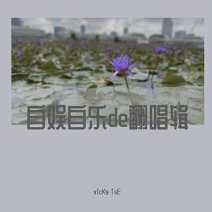 奈何 (Regrets) - vIcKy TsE/糖小侠Alex (Cover 刘盼)（翻自 刘盼）