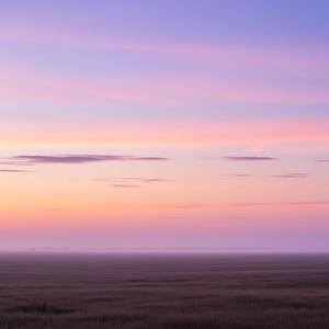 새벽의 고운 속삭임 (Whispers of Dawn)