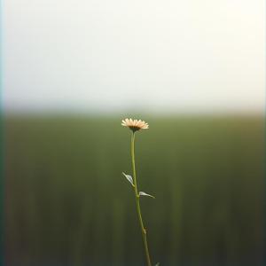 겁이 난다는 건 (indiepop) - David Lee