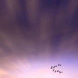 谜语Pord by BECU BEATS