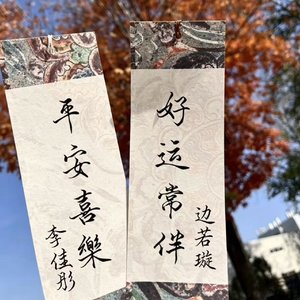 李佳彤and边若璇