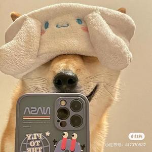 错把路灯当月光