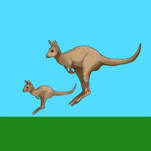 KANGURU