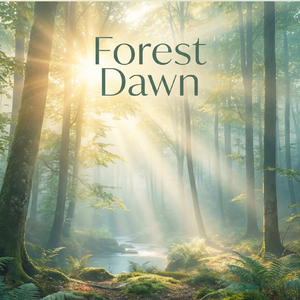 森林晨曦-A（欢快版）