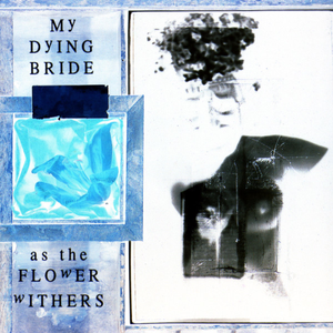 The Return Of The Beautiful