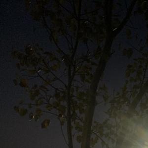 做好自己（翻唱三水）（翻自 三水XQM）