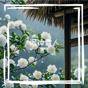 冰箱极光