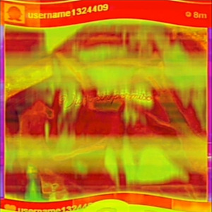 Seguro a Todo Risko ?