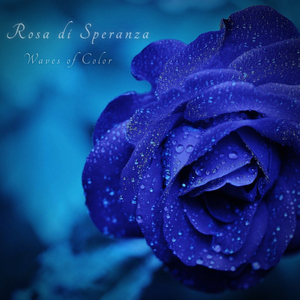 Rosa di Speranza
