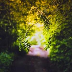 新闻背景音乐