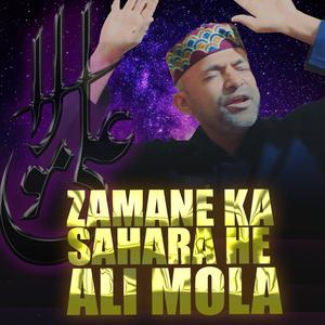 Zamane Ka Sahara Hai Ali Mola