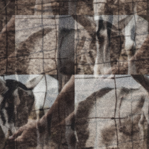 Every Tom, Dick, And Harry