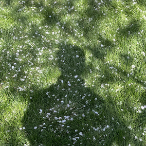 真的吗（cover莫文蔚）