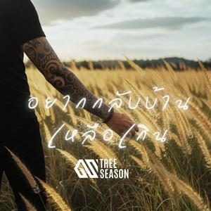 อยากกลับบ้านเหลือเกิน