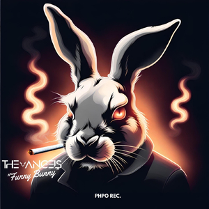 Funny Bunny (Extended Mix)