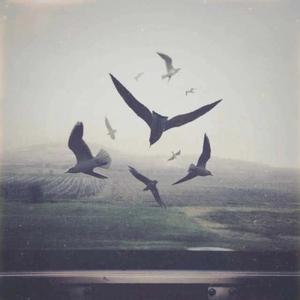 Holly Henry-White Knuckles（王执宇 remix）