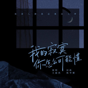 我的寂寞你怎么可能懂 (DJ沈念版)