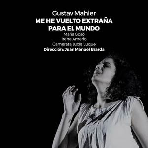 Lieder eines fahrenden Gesellen: IV. Die zwei blauen Augen von meinem Schatz