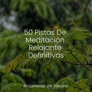 Elogio del Mar Profundo