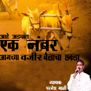 Aahe Adyat Ek Number Aamchya Vajir Bailacha Chakda