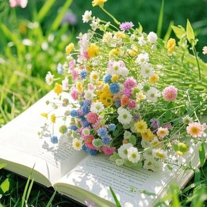 心中的玫瑰花.wav