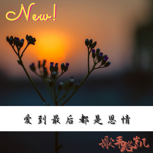 爱到最后都是恩情