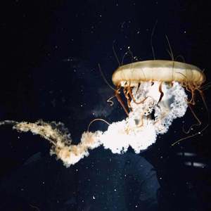 群星-天地鉴（NINA remix）