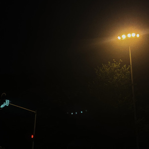 想要一辆电动车