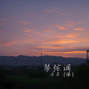 热闹集市
