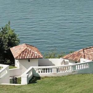 再见了最爱的人