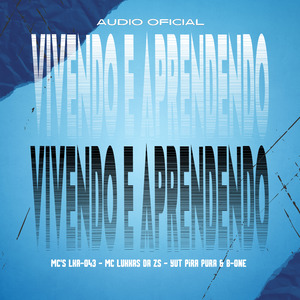Vivendo e Aprendendo